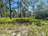 2261 150th Avenue - Photo 10