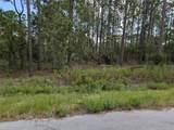 TBD Foxglove Lane - Photo 1