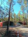 25931 Sitting Bull Street - Photo 3