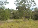 lot 21 Floral Court - Photo 2