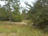 lot 21 Floral Court - Photo 3