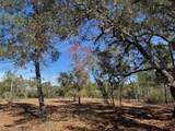11901 Ne 150Th Ave Road - Photo 10