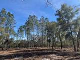 11901 Ne 150Th Ave Road - Photo 11