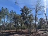 11901 Ne 150Th Ave Road - Photo 12