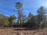11901 Ne 150Th Ave Road - Photo 15