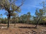 11901 Ne 150Th Ave Road - Photo 16