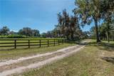10351 Highway 320 - Photo 22