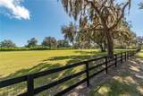 10351 Highway 320 - Photo 24