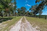 10351 Highway 320 - Photo 32