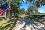 10351 Highway 320 - Photo 35