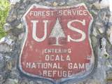  174TH Court - Photo 12