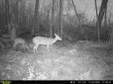 00 Sampala Lake Road - Photo 25