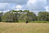 5185 Highway 17 - Photo 11