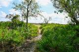 5185 Highway 17 - Photo 13