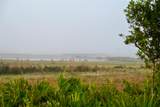 5185 Highway 17 - Photo 16