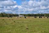 5185 Highway 17 - Photo 2