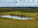 5185 Highway 17 - Photo 20