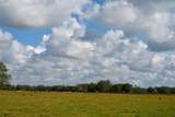 5185 Highway 17 - Photo 22
