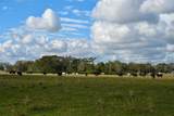 5185 Highway 17 - Photo 29