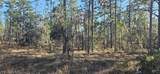 Lot 13 Water Oak Avenue - Photo 1