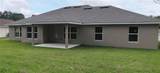 85 Vinca Street - Photo 5