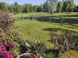 14515 Highway 328 - Photo 16