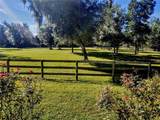 14515 Highway 328 - Photo 20