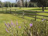 14515 Highway 328 - Photo 22