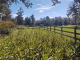 14515 Highway 328 - Photo 25