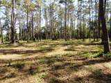 10150 Highway 40  E - Photo 10