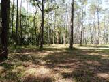 10150 Highway 40  E - Photo 14