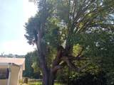 2531 167TH Avenue - Photo 9