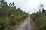  Off Louise Rd. - Photo 3