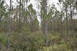  Off Louise Rd. - Photo 4
