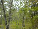 BLK 25 LOT 16 Buena Vista Road - Photo 17