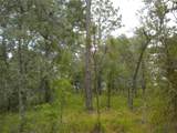 BLK 25 LOT 16 Buena Vista Road - Photo 18