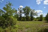  Off Hwy 225 - Photo 10