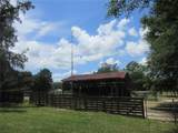 18870 62ND Street - Photo 13
