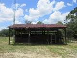 18870 62ND Street - Photo 14