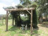 18870 62ND Street - Photo 20