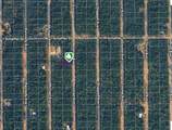 LOT 33 Neisman Avenue - Photo 2