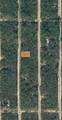 LOT 7 Neilsen Avenue - Photo 1