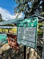 14423 252ND COURT Road - Photo 28