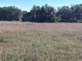  54TH Loop - Photo 6