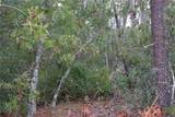 9478 Timber Creek Terrace - Photo 4