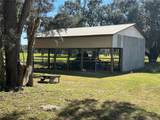 36203 Micro Racetrack Road - Photo 3