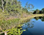 000 Fisher Run - Photo 5
