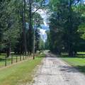  115TH Avenue - Photo 3