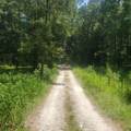  115TH Avenue - Photo 6