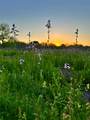 13844 21ST Court - Photo 4